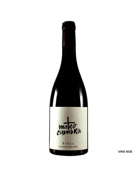 Mateo Cambra 2019 - MATEO_CAMBRA