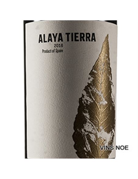 Alaya Tierra - ALAYA_TIERRA-E
