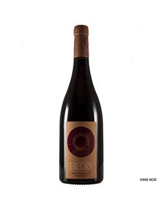 Puiggròs Exedra - PUIGGRÒS_EXEDRA