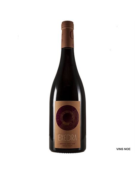 Puiggròs Exedra - PUIGGRÒS_EXEDRA