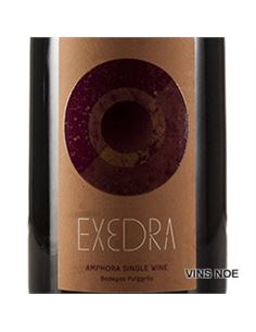 Puiggròs Exedra - PUIGGRÒS_EXEDRA 2