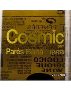 Cosmic - COSMIC 2