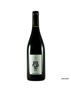 Benplantat Negre Selecció - Benplantat_Seleccio