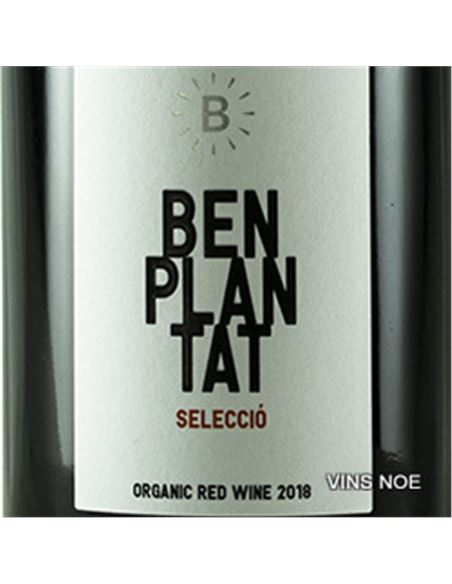 Benplantat Negre Selecció - BENPLANTAT_SELECCIO-E