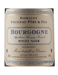 Poulleau Bourgogne Pinot Noir 2019 - DOM_POULLEAU_BOURGOGNE_PINOT_NOIR 2
