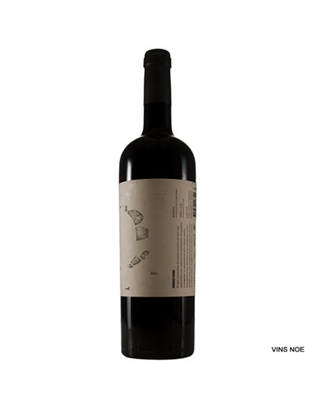 Domus Pensi - DOMUS_PENSI