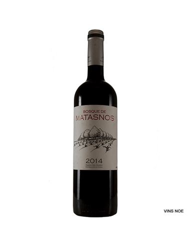 Bosque de Matasnos - BOSQUE_DE_MATASNOS