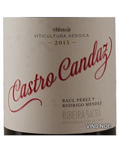 Castro Candaz Mencía 2019 - CASTRO_CANDAZ_MENCIA 2