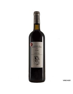 Vinyes de Barcelona - VINYES DE BARCELONA