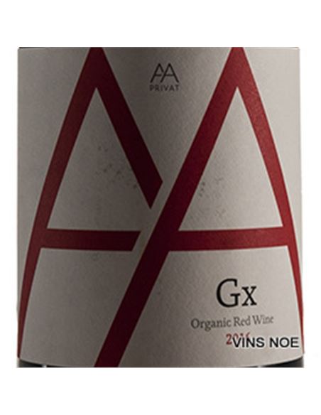 AA GX - AA_GX-E