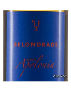 Quinta Apolonia - Quinta_Apolonia 2