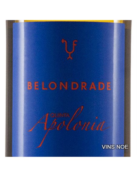 Quinta Apolonia - Quinta_Apolonia-E