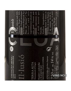 Il·lusió garnatxa negre - IL·LUSIÓ_NEGRE_CRIANÇA 2