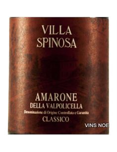Villa Spinosa Amarone Valpolicella Classico - Amarone_Valpolicella_Classico 2