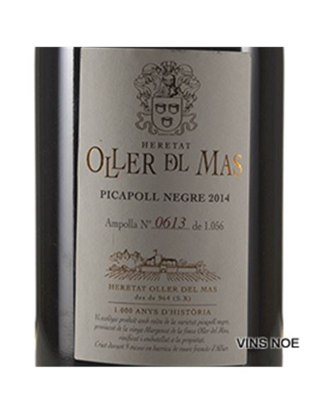 Oller del Mas Picapoll negre - OLLER_DEL_MAS_PICAPOLL_NEGRE-E