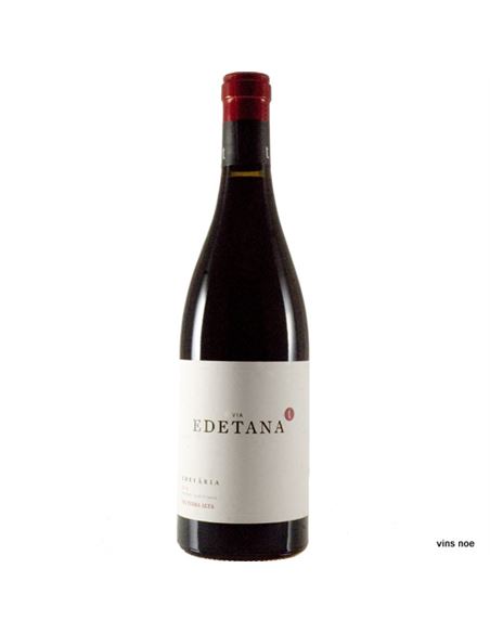 Via Edetana negre - VIA_EDETANA_NEGRE