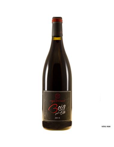 Boig per tu - Boig_per_tu