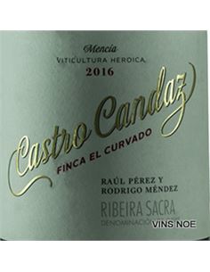 Castro Candaz - Finca El Curvado - Castro_Candaz_Finca_el_Curvado 2