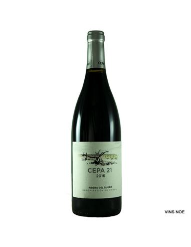 Cepa 21 - CEPA_21