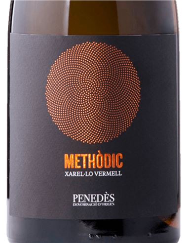 Methodic - Methòdic_VinsNOe_etiqueta