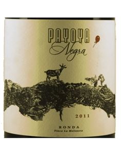 Payoya Negra 2018 - PAYOYA 2