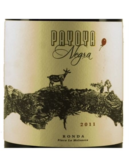 Payoya Negra 2018 - PAYOYA-E