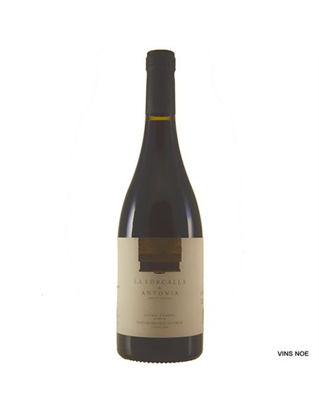 La Forcallà de Antonia - LA_FORCALLÀ_DE_ANTONIA