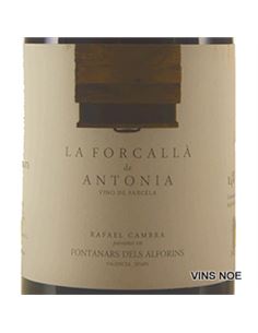 La Forcallà de Antonia - LA_FORCALLÀ_DE_ANTONIA 2