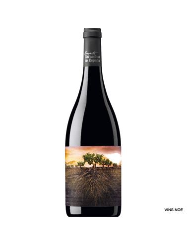 Garnacha Olvidada de Aragón - PROYECTO_GARNACHAS_DE_ESPAÑA_ARAGON