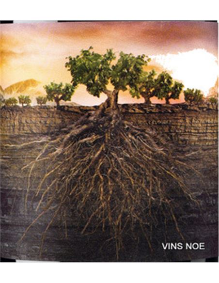 Garnacha Olvidada de Aragón - PROYECTO_GARNACHAS_DE_ESPAÑA_ARAGON-E