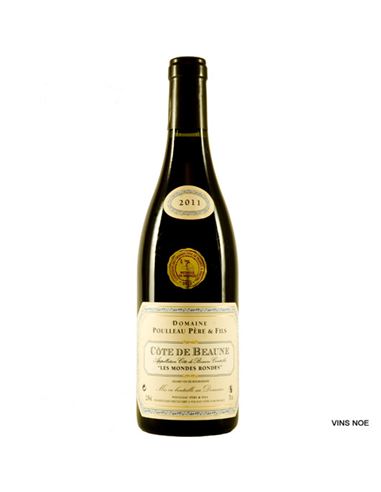 Poulleau Les Mondes Rondes 2017 - DOM_POULLEAU_LES_MONDES_RONDES