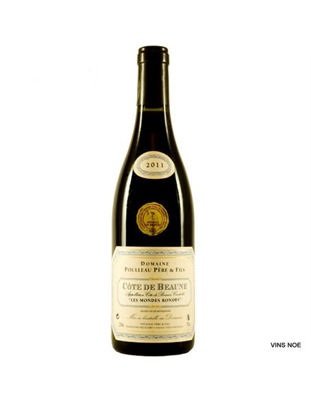 Poulleau Les Mondes Rondes 2017 - DOM_POULLEAU_LES_MONDES_RONDES