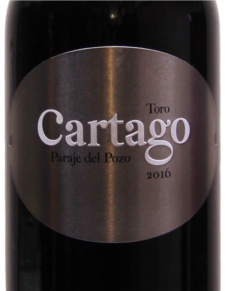 Cartago 2016 - Cartago_VinsNoe_etiqueta