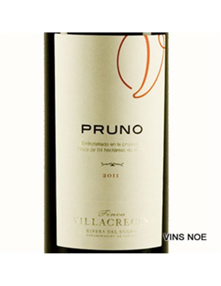 Pruno 2019 - PRUNO_E