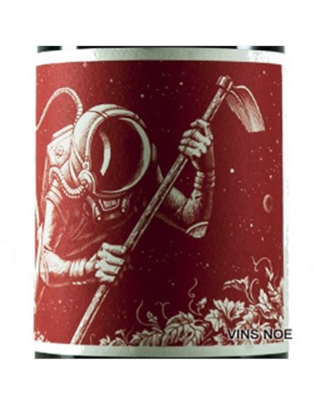 Cosmonauta Viaje en el Tiempo - Cosmonauta_Viaje_en_el_tiempo-E