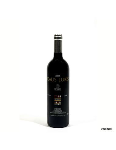 Caus Lubis 1998 - CAUS LUBIS