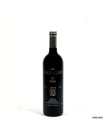 Caus Lubis 1998 - CAUS LUBIS