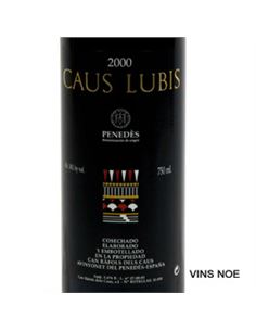 Caus Lubis 1998 - CAUS LUBIS 2