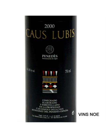 Caus Lubis 1999 - CAUS LUBIS-E