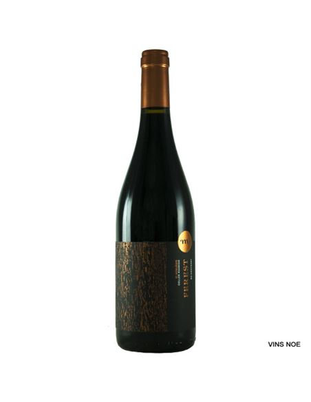 Ferest Eco - Ferest_Eco