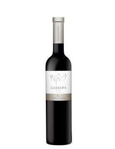 Cabrida 2018 - Cabrida_VinsNoe
