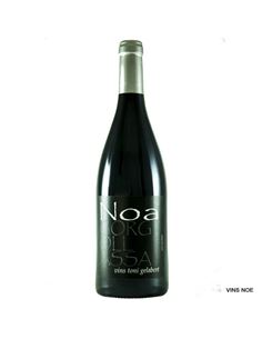 Noa Gorgollassa T.G. - Noa_Gorgollassa