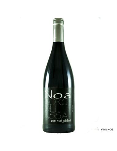 Noa Gorgollassa T.G. - Noa_Gorgollassa