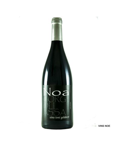 Noa Gorgollassa T.G. - Noa_Gorgollassa