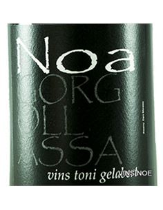 Noa Gorgollassa T.G. - Noa_Gorgollassa 2