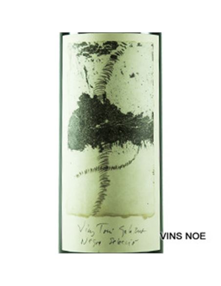 Toni Gelabert Negre Selecció - Toni_Gelabert_Negre_Seleccio-E