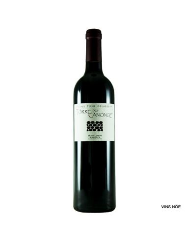 Toni Gelabert Torre des Canonge - Torre_des_Canonge_negre