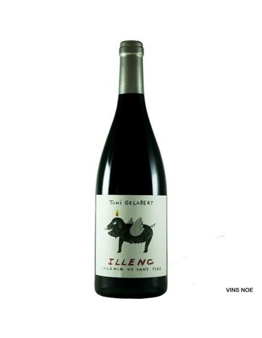 Illenc de Toni Gelabert - Illenc