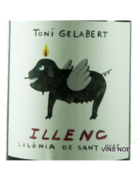 Illenc de Toni Gelabert - ILLENC-E