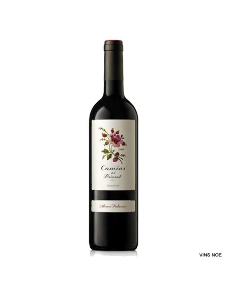 Camins del Priorat - CAMINS DEL PRIORAT